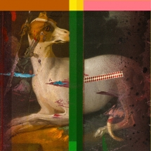 David Ferry. Parallel Companions, Digital Archive Print.